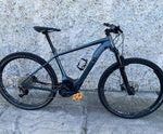 Specialized trubo levo hardtail